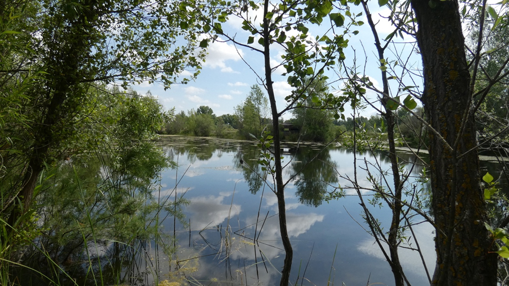 jarama park 3