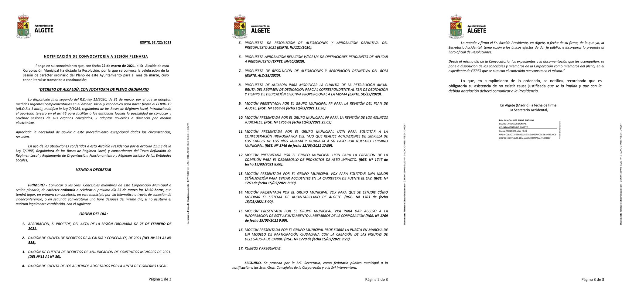 pleno ordinario marzo 2021
