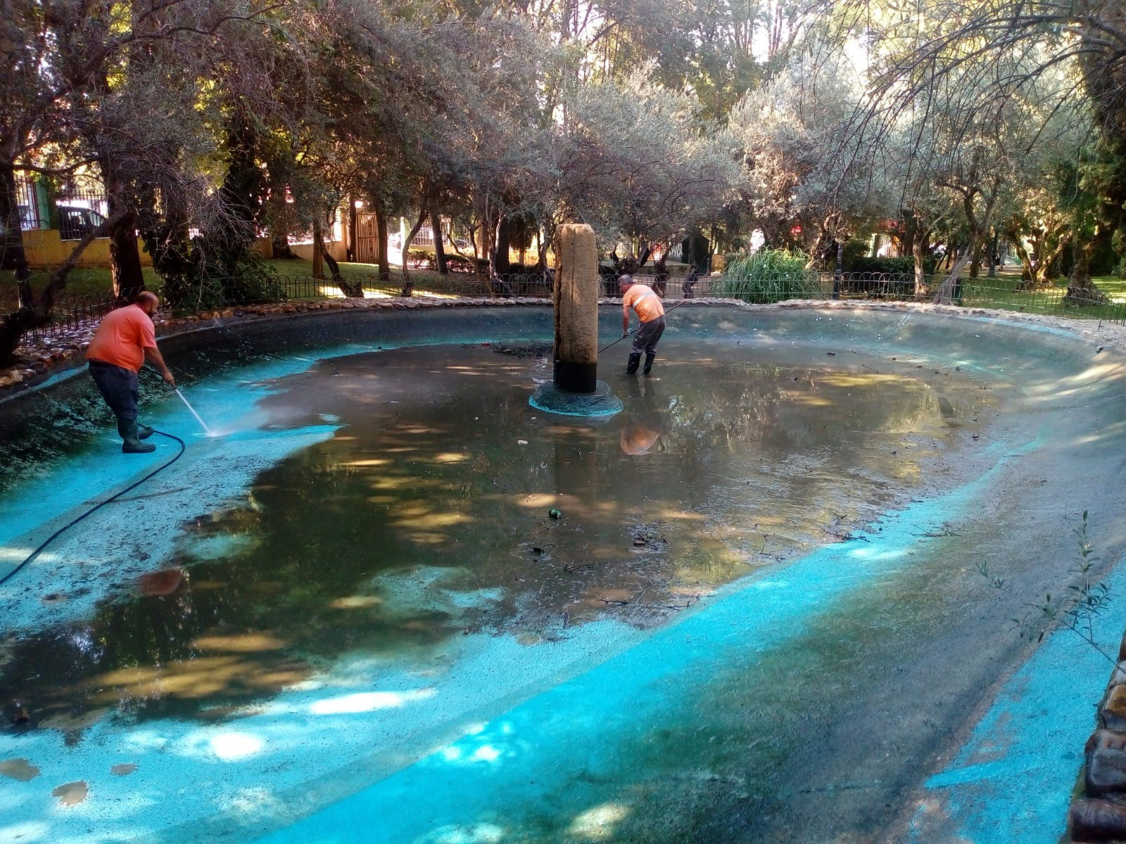 Limpieza Estanque Patos 1