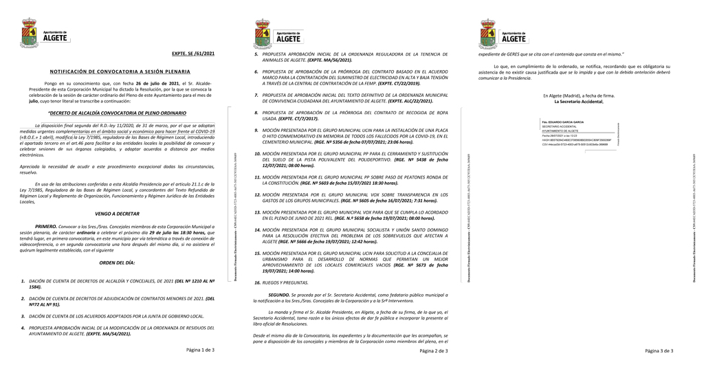 pleno ordinario julio 2021