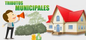 Se apertura el Calendario Tributario con el cobro de la domiciliación, en modalidad de pago único, el próximo día 30 de abril
