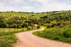 Algete aprueba su adhesión al convenio para la reforestación del municipio