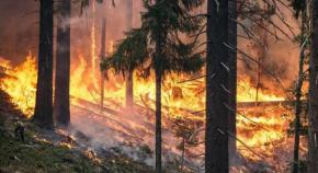 SUSPENSIÓN EN LA COMUNIDAD DE MADRID, DURANTE EL DIA 18 DE JULIO DE 2025, DESDE LAS 15:00 HORAS HASTA LAS 23:59 HORAS, LOS USOS DEL FUEGO Y USO DE MAQUINARIA Y EQUIPOS